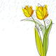Tulips design on white background Wall Decal