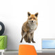 Red fox, Vulpes vulpes, standing, isolated on white Wall Decal
