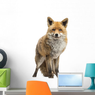 Red Fox Wall Decal shown on a wall