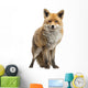 Red fox, Vulpes vulpes, standing, isolated on white Wall Decal