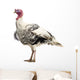White Turkey Wall Decal