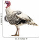White Turkey Wall Decal