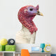 Close-up of a Turkey, Meleagris Gallopavo, Isolated on White Wall Decal