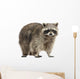 Chubby Lil Raccoon Wall Decal