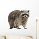Chubby Lil Raccoon Wall Decal