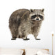 Chubby Lil Raccoon Wall Decal