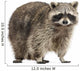 Chubby Lil Raccoon Wall Decal