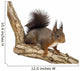 Side View of a Red Squirrel, Sciurus Vulgaris, Standing Wall Decal