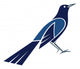 Great-tailed Grackle Wall Decal