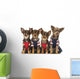 Group Dressed up Chihuahuas