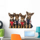 Group Dressed up Chihuahuas