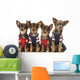 Group Dressed up Chihuahuas