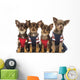 Group Dressed up Chihuahuas