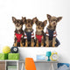Group Dressed up Chihuahuas