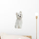Maltese puppy sitting, looking at the camera, 2 months old Wall Decal