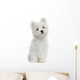 Maltese puppy sitting, looking at the camera, 2 months old Wall Decal