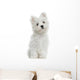Maltese puppy sitting, looking at the camera, 2 months old Wall Decal