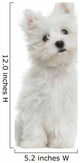 Maltese puppy sitting, looking at the camera, 2 months old Wall Decal