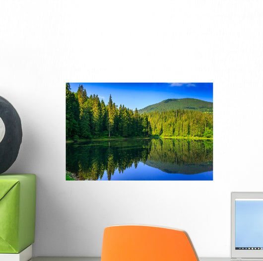 Freshness Near Forest Wall Mural