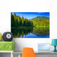 Freshness Near Forest Wall Mural