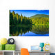 Freshness Near Forest Wall Mural