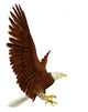 Wide Eagle Wall Mural