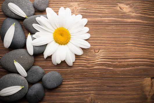 Spa Stones