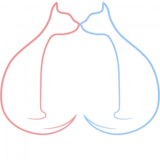 Cat Love Wall Mural