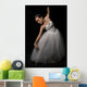 Danza Wall Mural