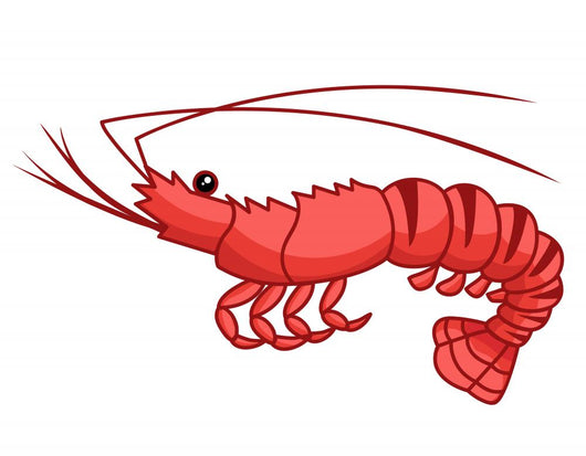 Prawn Shrimp Wall Decal