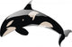 Sea Animal Decals - Orca Killer Whale Wall Decal