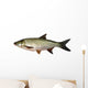 asp predatory freshwater fish on white background Wall Decal