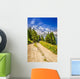 Path in the mountains - French Alps Wall Mural