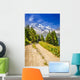 Path in the mountains - French Alps Wall Mural