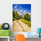 Path in the mountains - French Alps Wall Mural