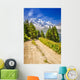 Path in the mountains - French Alps Wall Mural