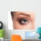 Woman Eye with Makeup