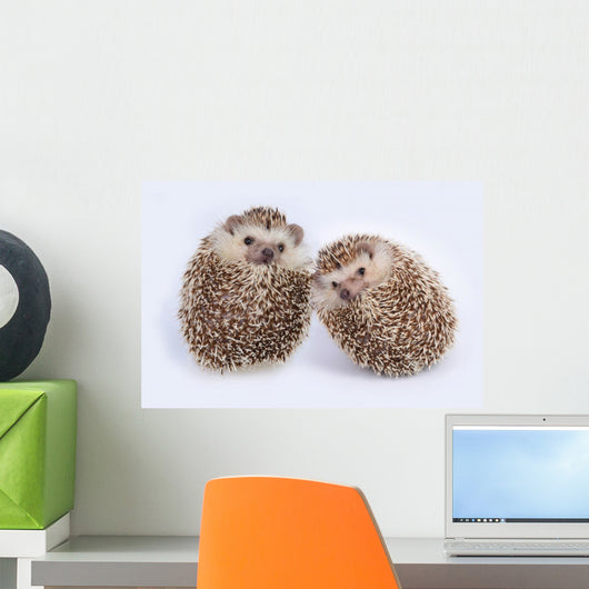 Two Hedgehogs Wall Decal
