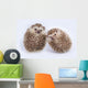 Two Hedgehogs Wall Decal