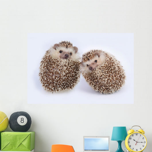 Two Hedgehogs Wall Decal
