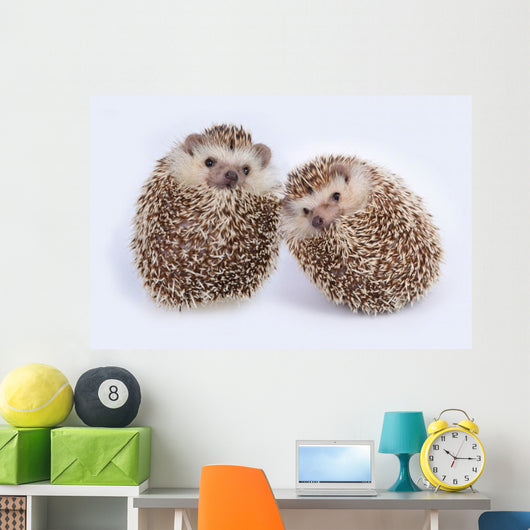 Two Hedgehogs Wall Decal
