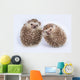 Two Hedgehogs Wall Decal