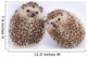 Two Hedgehogs Wall Decal
