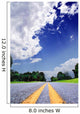Country-road under a dramatically lighted cloudy sky Wall Mural