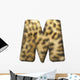 Leopardenfell Letter M Wall Mural