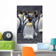 King Penguin Incubating Egg Wall Mural