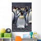 King Penguin Incubating Egg Wall Mural