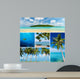 Beautiful Collage Tropical Images