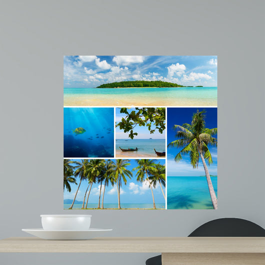 Beautiful Collage Tropical Images
