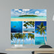 Beautiful Collage Tropical Images